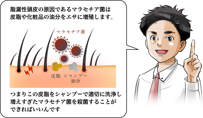 脂漏性頭皮の原因であるマラセチア菌は皮脂や化粧品の油分をエサに増殖します。つまりこの皮脂をシャンプーで適切に洗浄し増えすぎたマラセチア菌を殺菌することができればいいんです