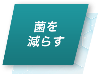 菌を減らす